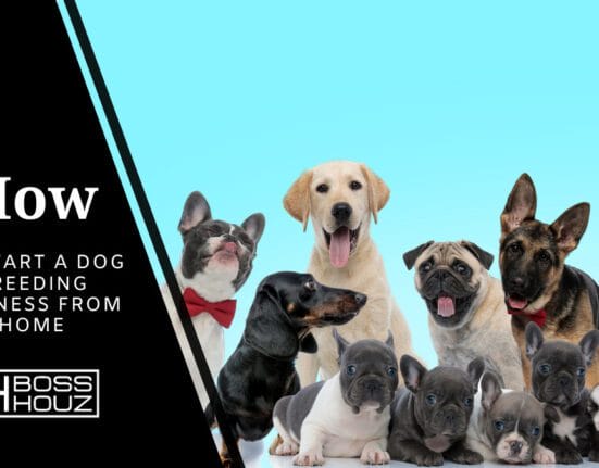 How to start a dog breeding business from home