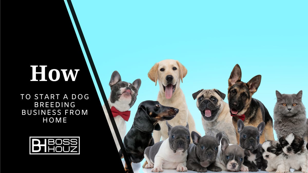 How to start a dog breeding business from home