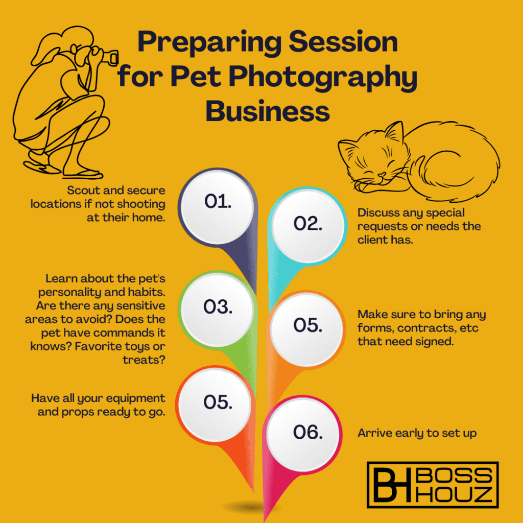 Preparing Session for Pet Photography Business